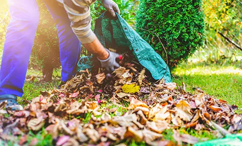 Life Chiropractic & Acupuncture - Fall Yard Work Chiropractic Tips