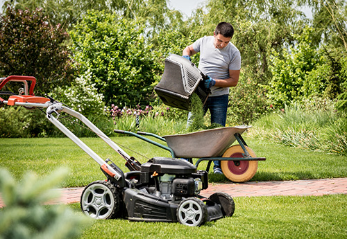 Life Chiropractic & Acupuncture Clinic - Spring Yard Cleaning